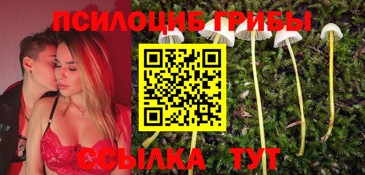 наркота  Вход с VPN  Каменка  Галлюциногенные грибы мухоморы 