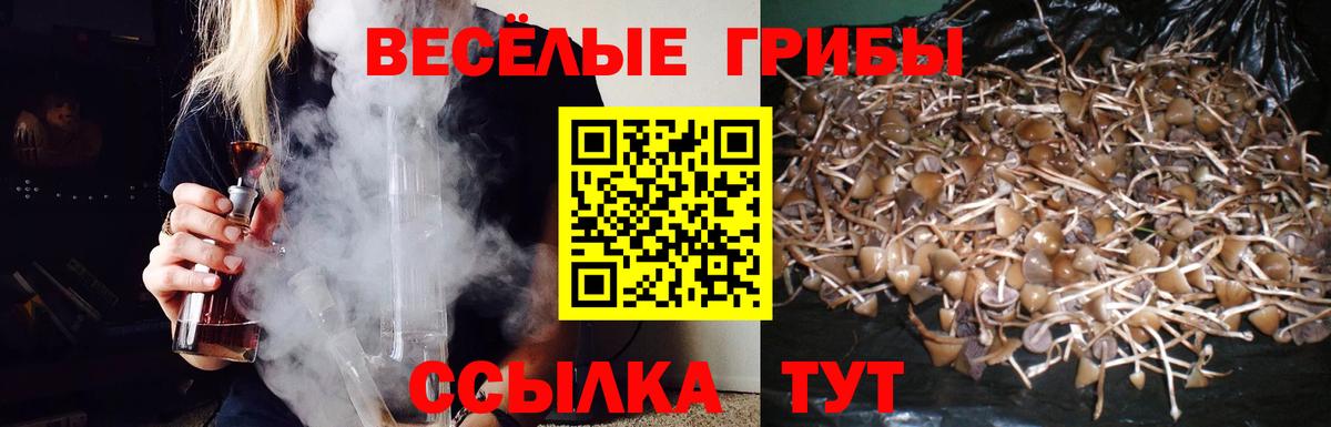 Псилоцибиновые грибы мухоморы Каменка